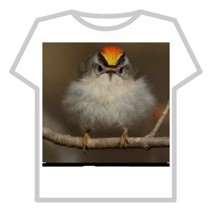 Cute bird thumbnail