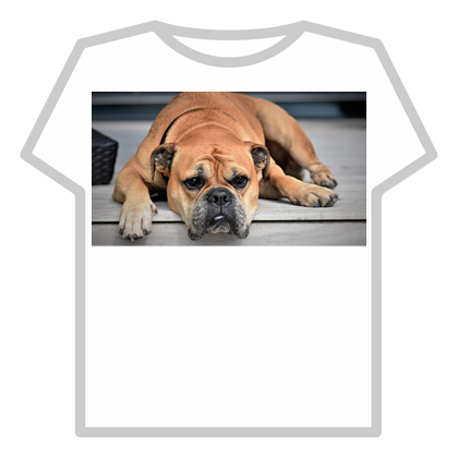 DOG thumbnail